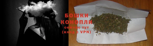 сатива Зерноград