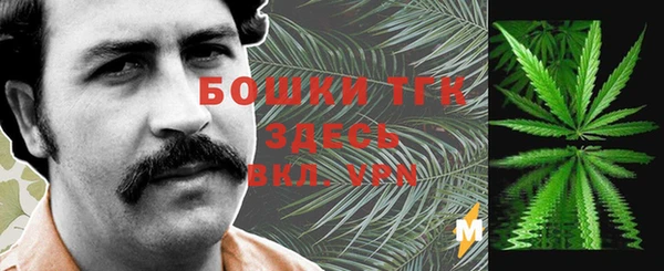 эйфоретик Заводоуковск