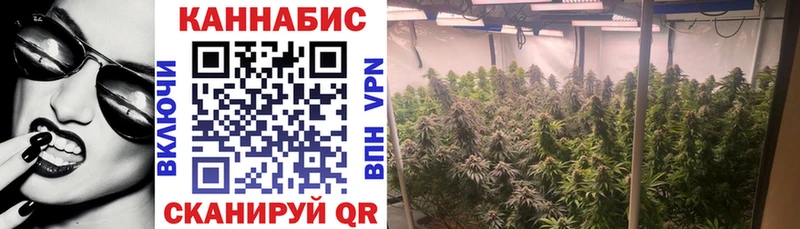 Купить Зеленокумск Каннабис индика